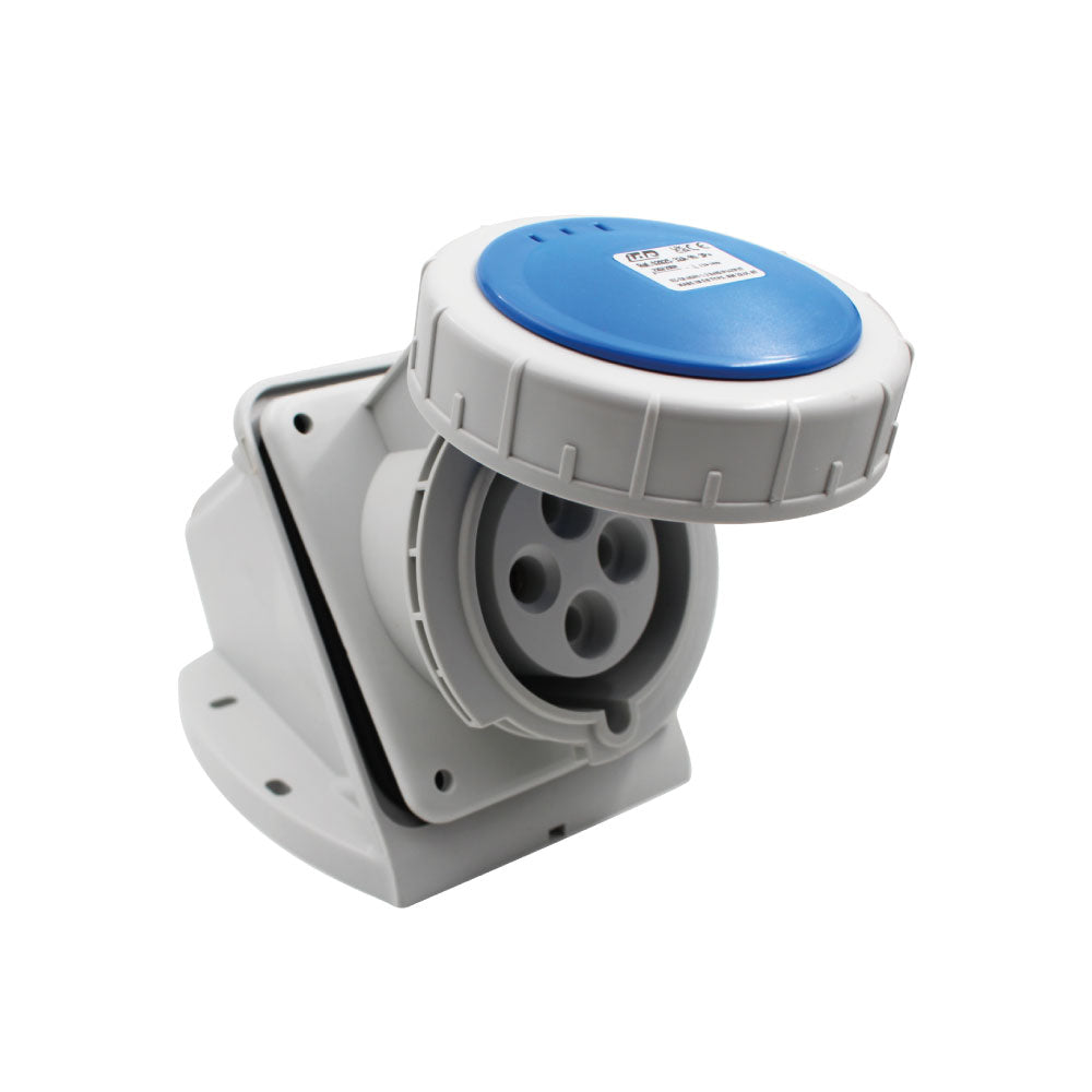ERP:71233:D-363.jpg