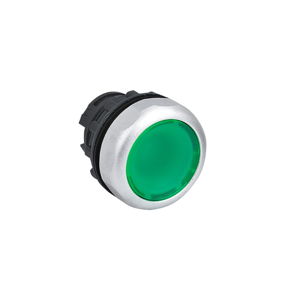 ERP:75197:M-347.jpg
