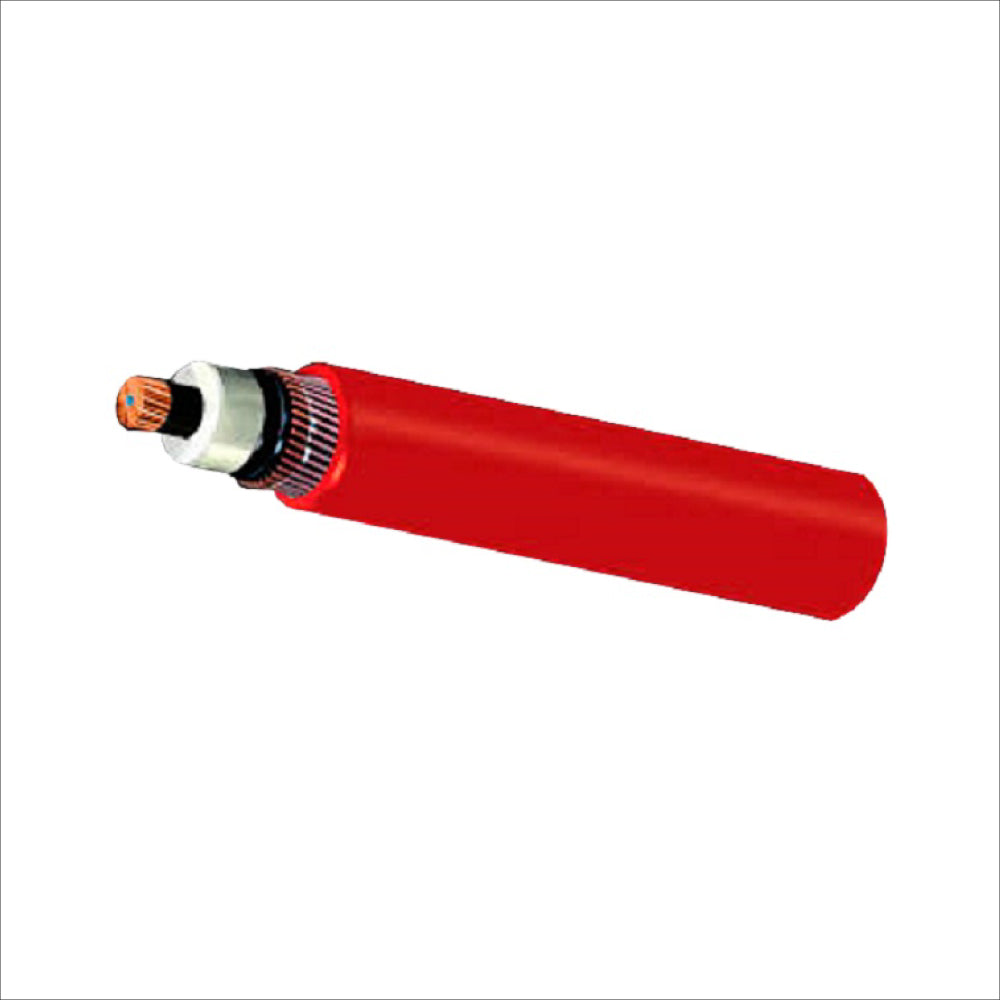 ERP:68197:Q-282.jpg