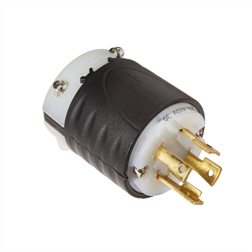 ERP:65217:D-337.jpg