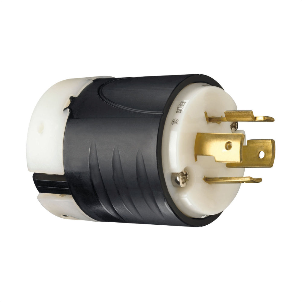 ERP:65241:D-347.jpg