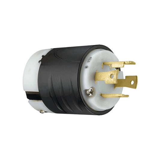 ERP:65257:D-355.jpg