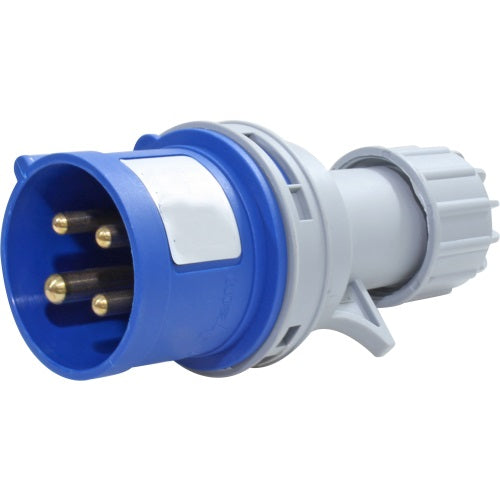 ERP:71237:D-365.jpg