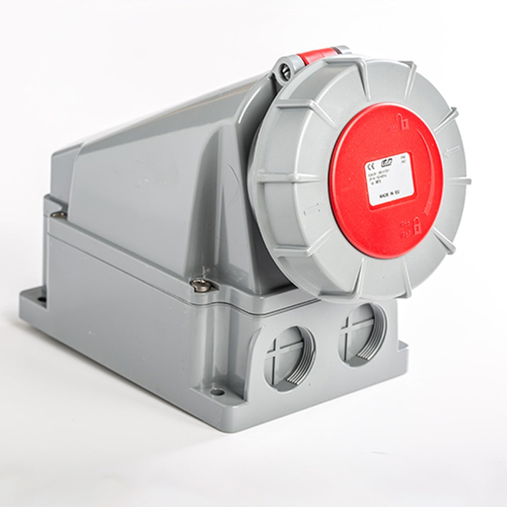 ERP:71313:D-557.jpg