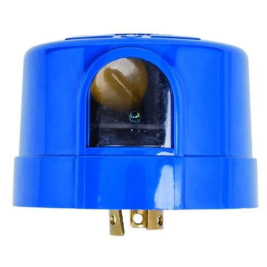 ERP:71437:D-646.jpg