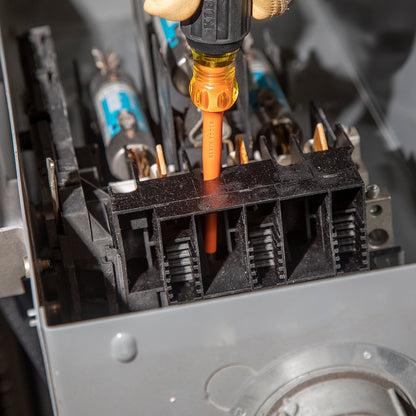 ERP:51599:F-587-2.jpg