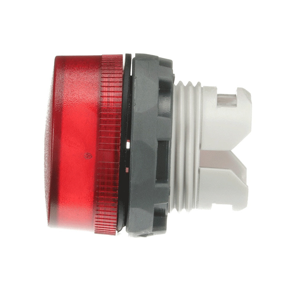 ERP:53680:I-1243-3.jpg