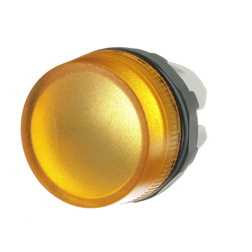 ERP:53687:I-1245-2.jpg