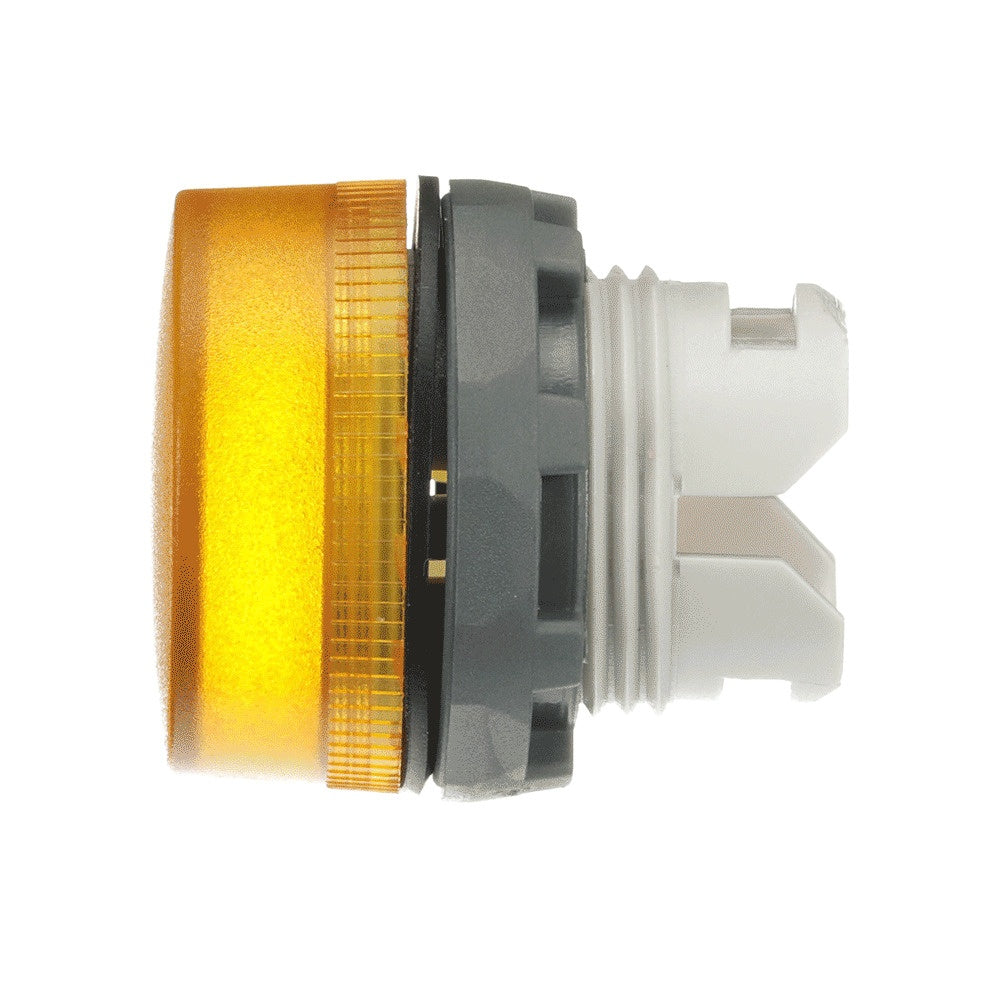 ERP:53688:I-1245-3.jpg
