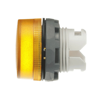 ERP:53688:I-1245-3.jpg