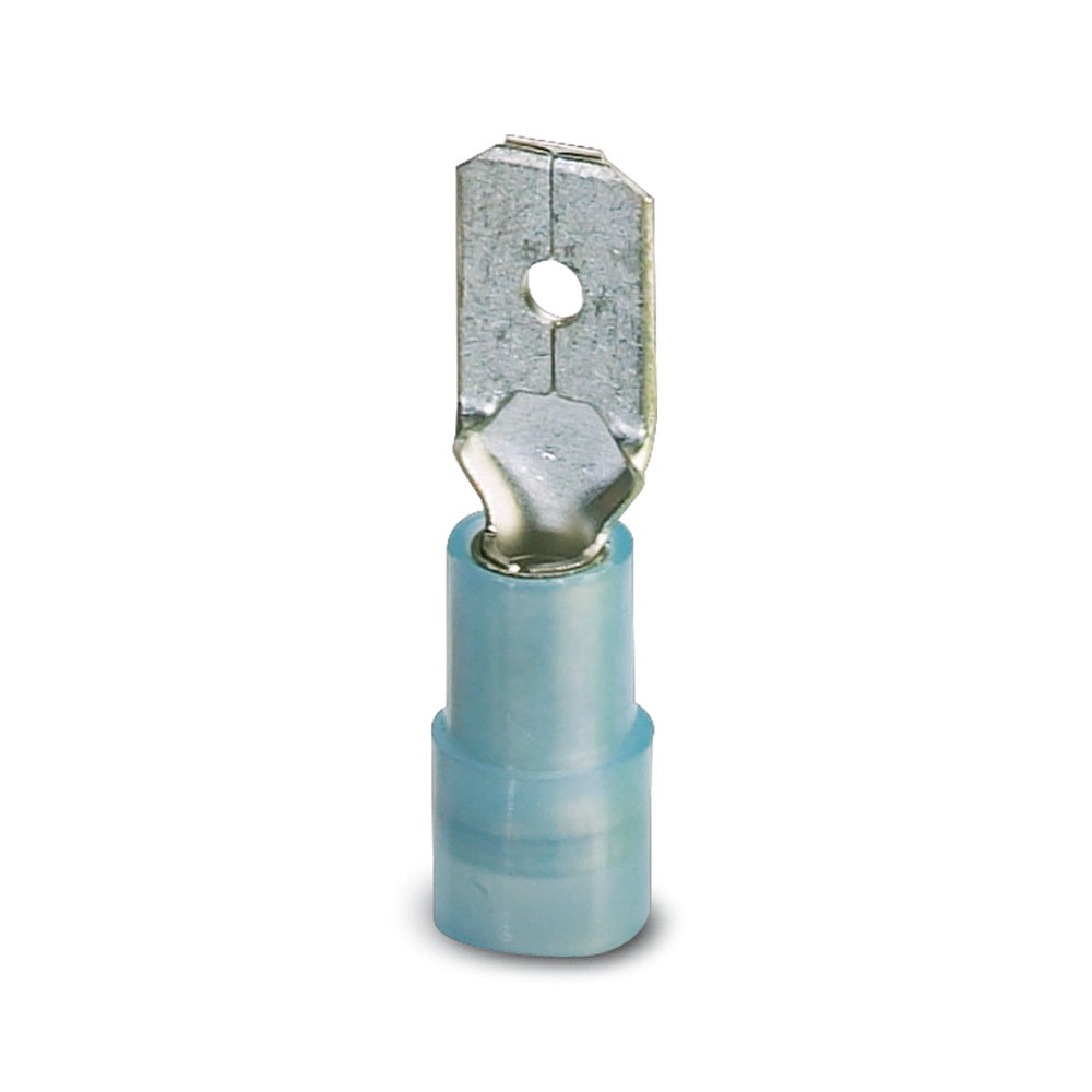 ERP:76405:N-427.jpg