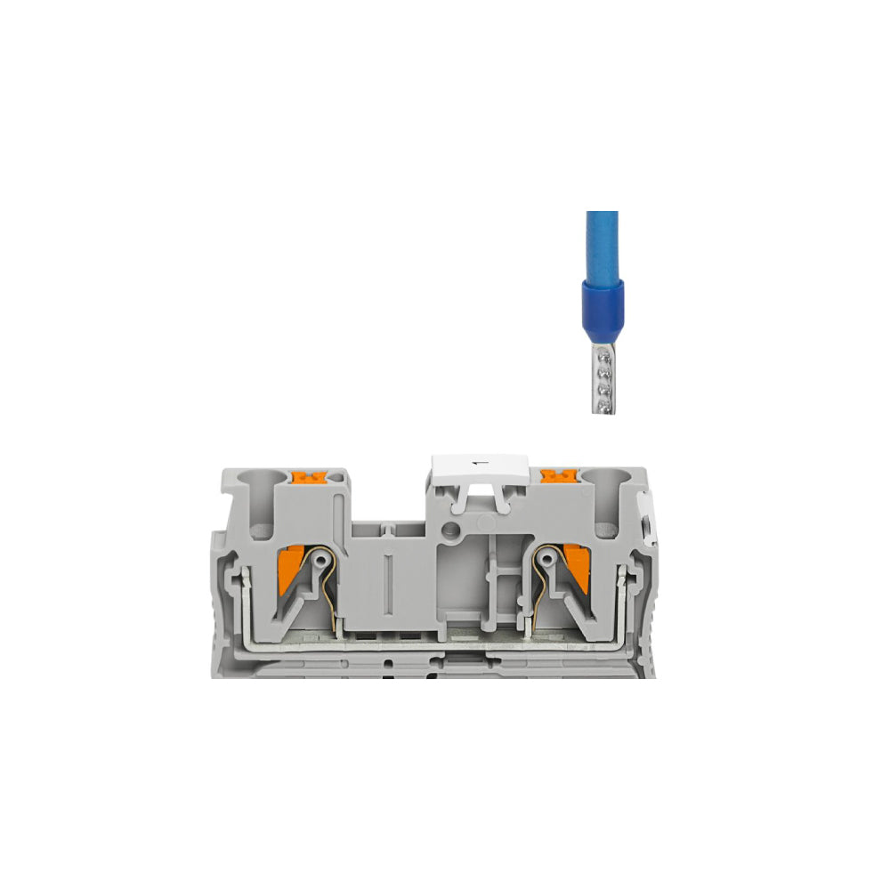 ERP:56503:N-516-2.jpg