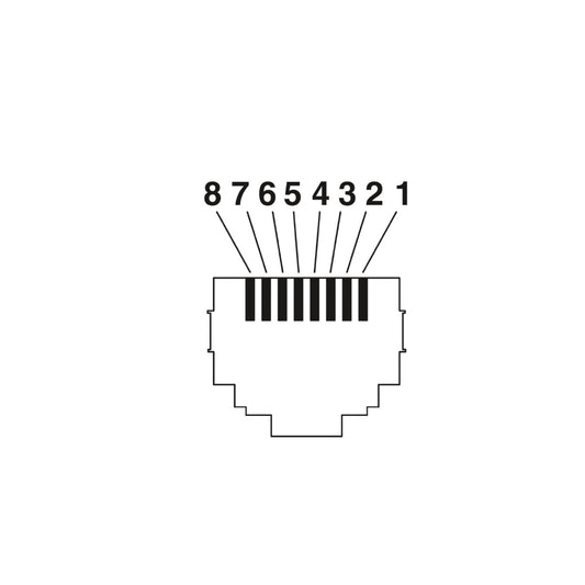 N-557-2.jpg