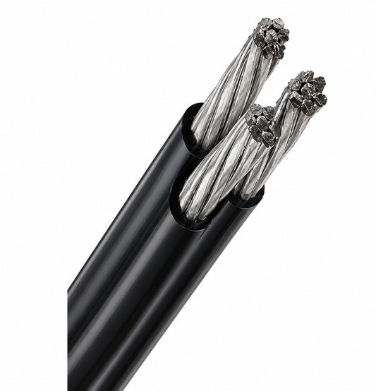 ERP:68205:Q-358.jpg