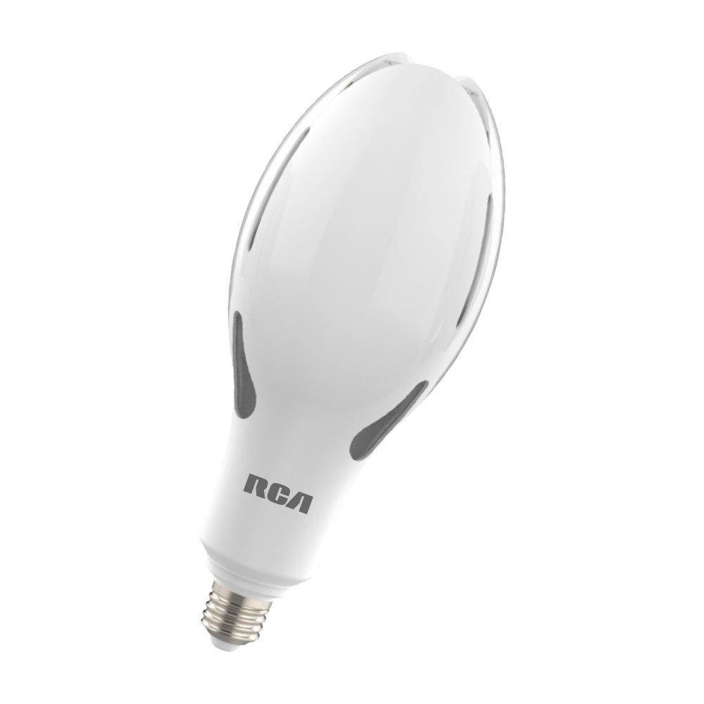 ERP:78453:S-1004.jpg