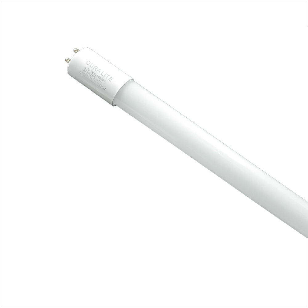 ERP:66481:S-729.jpg
