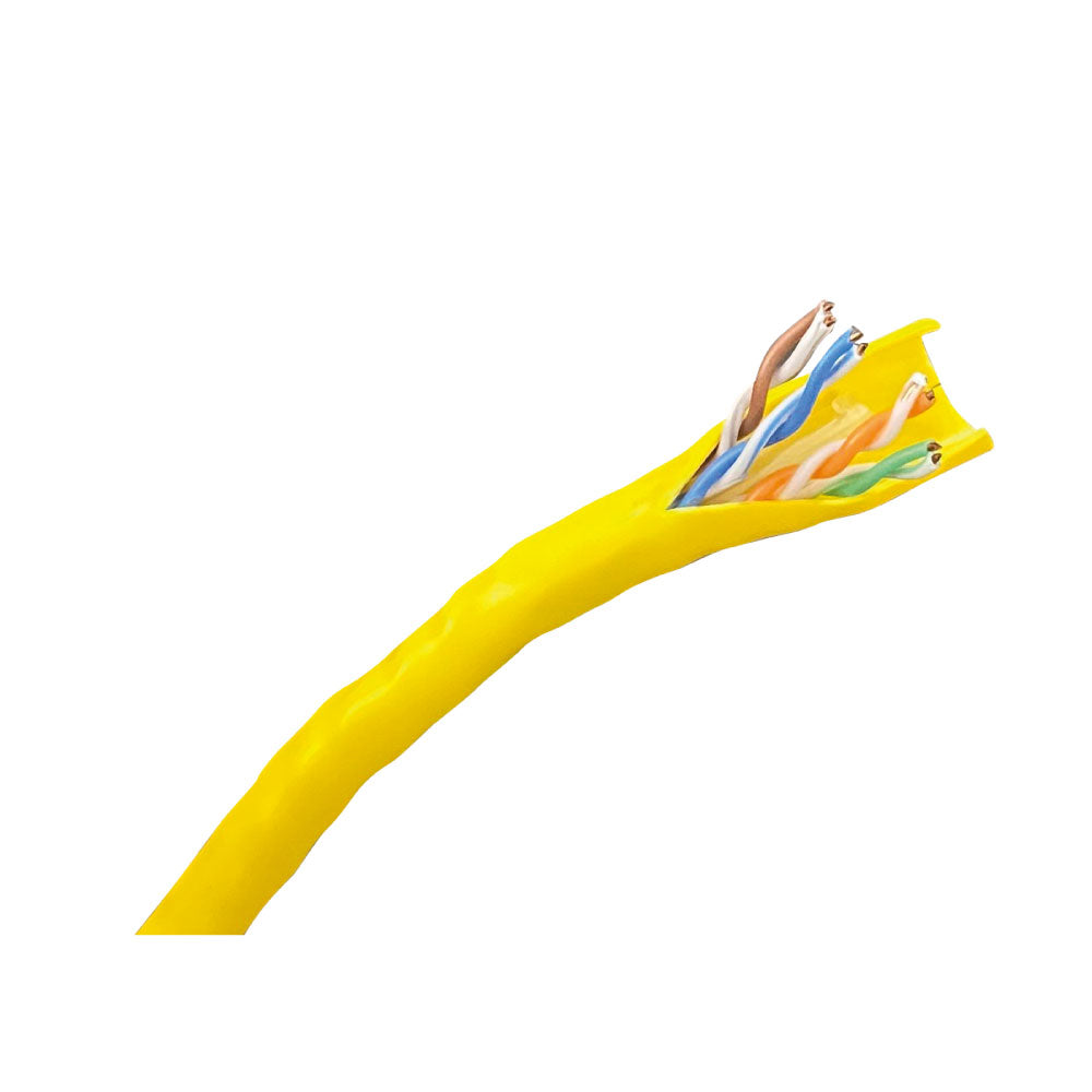 ERP:78877:T-206.jpg