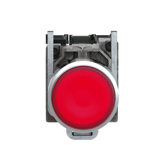 W-568-3.jpg