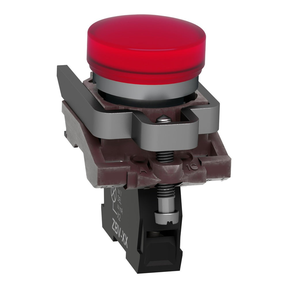 W-696-4.jpg