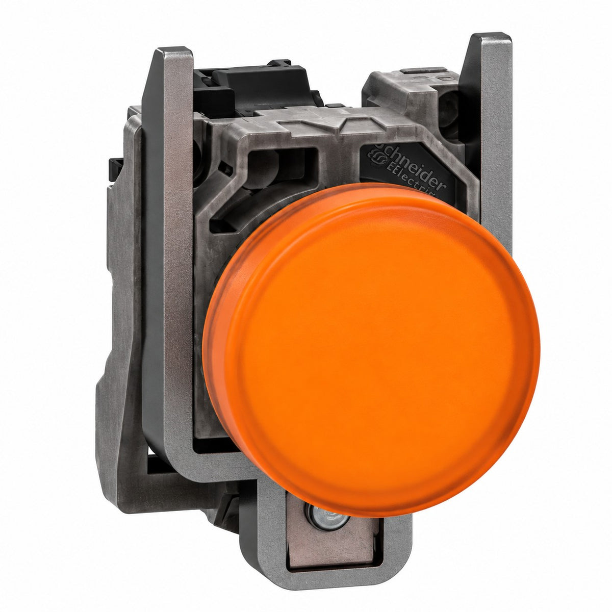 ERP:81809:W-697.jpg